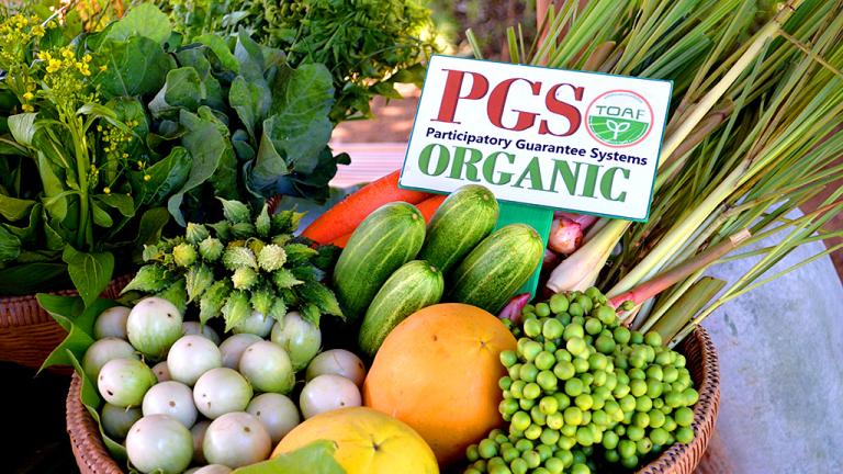 Helping Farmers Go Organic in Thailand