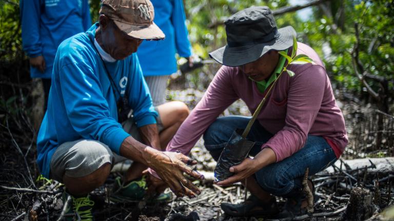 ADB Commits Record Climate Finance of Almost $10 Billion in 2023