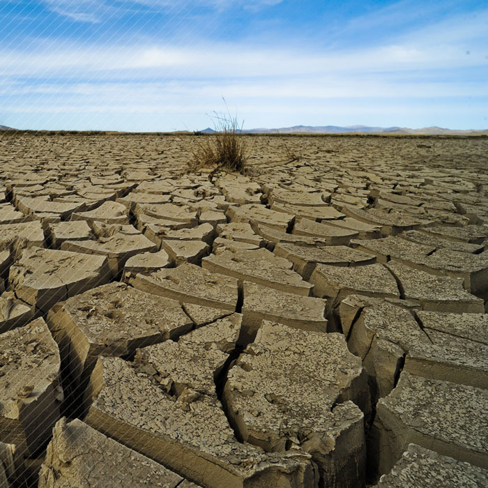 The region is also facing the destructive effects of climate change, from extreme weather conditions and prolonged drought...