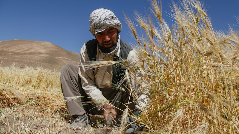 Poverty in Afghanistan