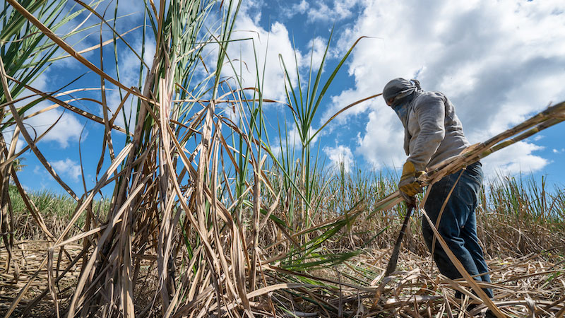 Poverty in Fiji