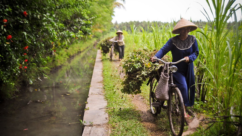 Poverty in Indonesia