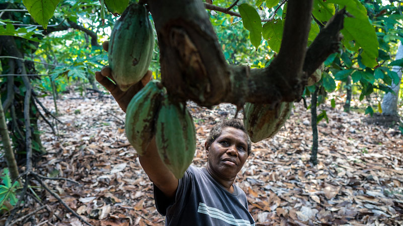 Poverty in Vanuatu