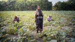 New ADB Initiative to Strengthen Women’s Resilience to Heat Stress in Asia